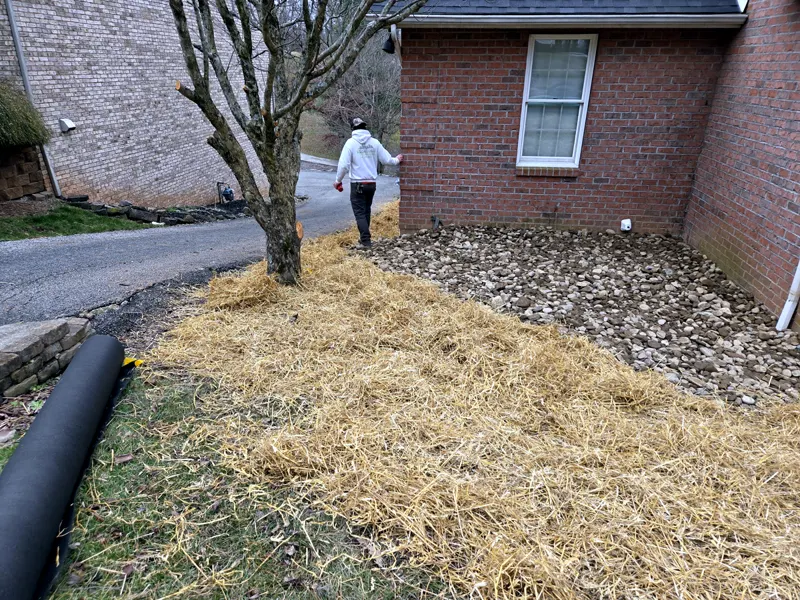 Finished drainage area beside a brick house, covered with river rock, with straw spread over the disturbed lawn